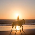 Horse riding in Tarifa