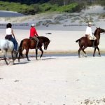Horse riding in Tarifa