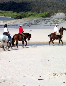 Horse riding in Tarifa