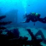 Scuba Diving In Tarifa