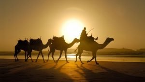 Trips To Morocco