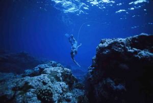 spearfishing tarifa2